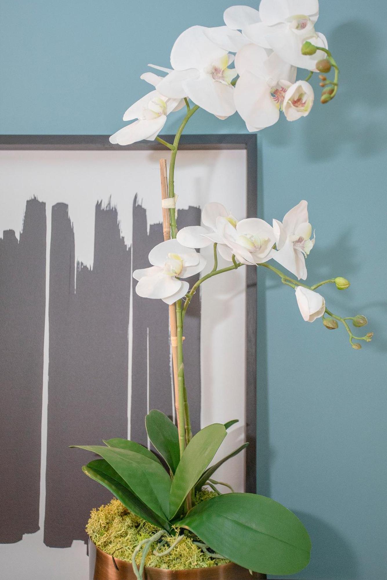 Liiiving In Porto - Ribeira Design Apartment Bagian luar foto